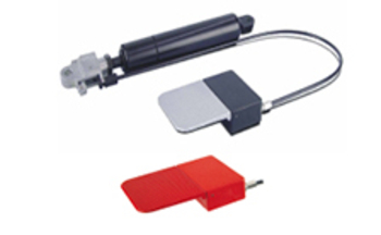 Zu sehen ist ein Bild eines Flachausl